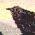 Image 2-2